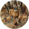 Flash Sale ✨ Wild Wings Rustic Retreat Whitetail Deer 4 Pc. Coaster Set ???? -Luminarc Shop unnamed file 432