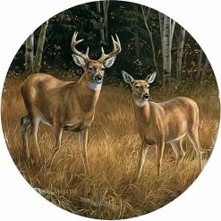 Budget ???? Wild Wings Whitetail Deer Set Of 4 Coasters ⌛