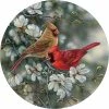 Cheap ???? Wild Wings Cardinals Set Of 4 Coasters ????